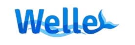 Welle
