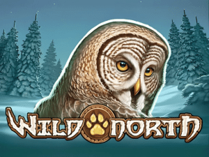 Wild North