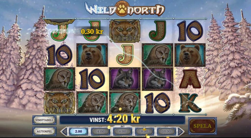 wild north grundspel