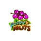 Happy Nuts 81