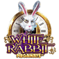 White Rabbit Megaways – RTP 97,39%