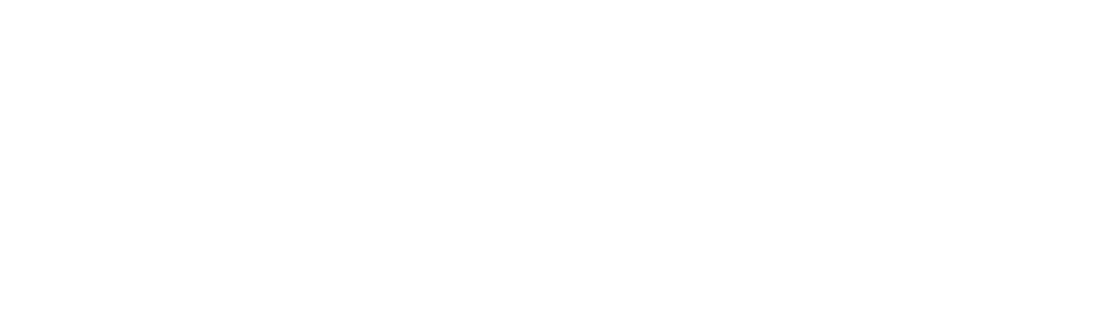 play'n go provider