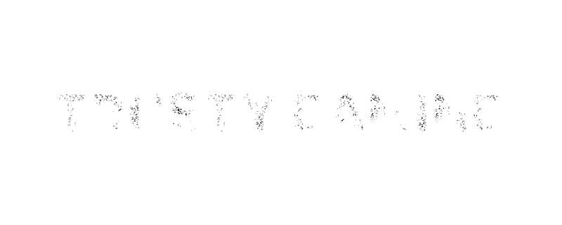 Trusty Gaming