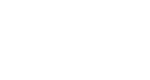 Light & Wonder