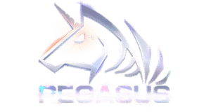 Pegasus