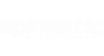 Spinmatic Entertainment
